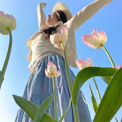 乐高史酷比：闹鬼的好莱坞 高清封面